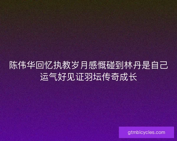 陈伟华回忆执教岁月感慨碰到林丹是自己运气好见证羽坛传奇成长